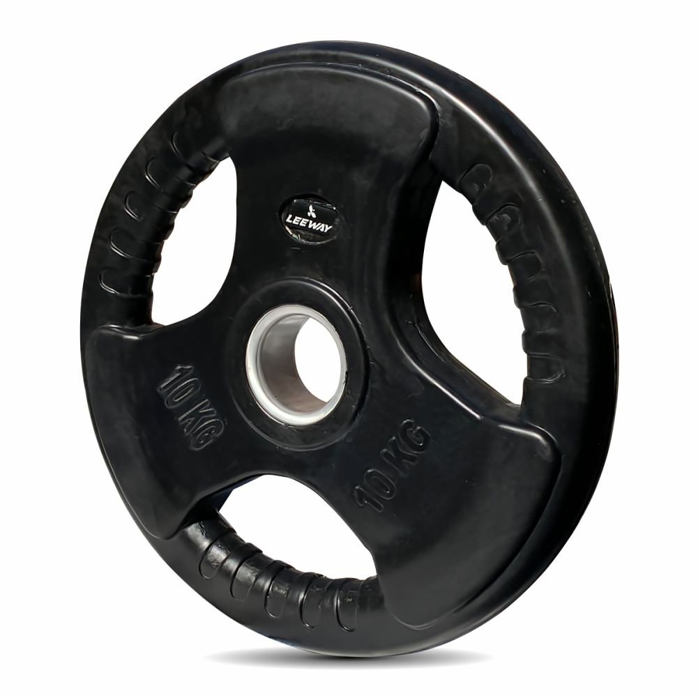 10 kg gym plate