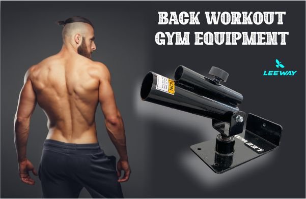 back workout equipment