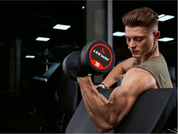 gym dumbbells leeway fitness gym dumbbells leeway fitness